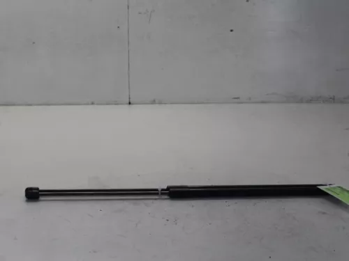 Set Gasdempers Achterklep-7616102