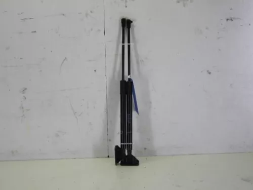 Set Gasdempers Achterklep-7884084