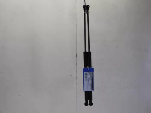 Set Gasdempers Achterklep-7885451