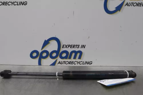 Set Gasdempers Achterklep-7737071