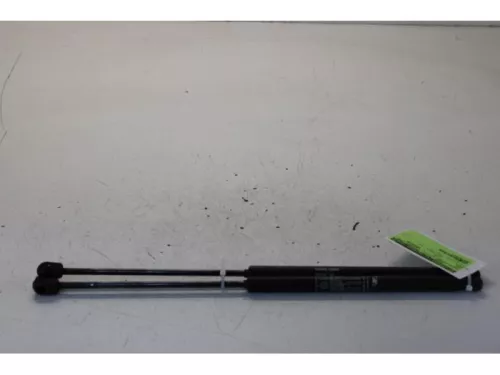 Set Gasdempers Achterklep-7730063
