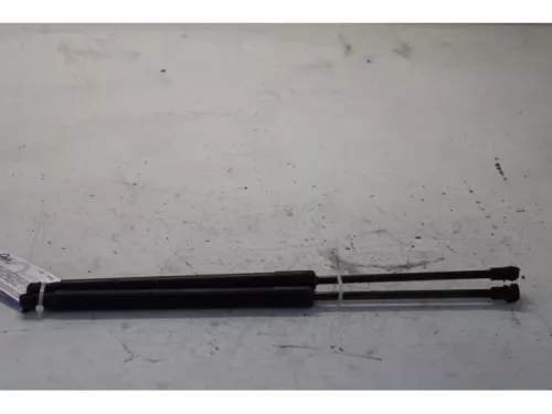 Set Gasdempers Achterklep-7878085