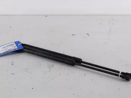 Set Gasdempers Achterklep-7888839