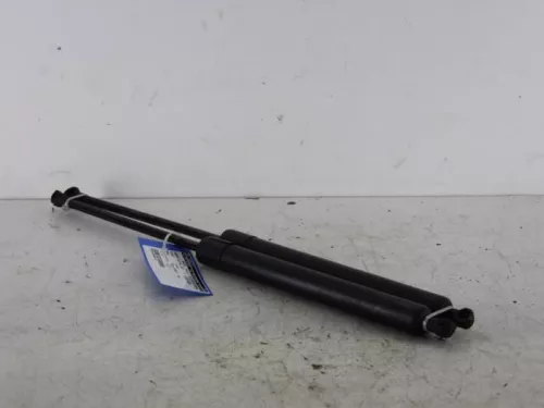 Set Gasdempers Achterklep-7887511