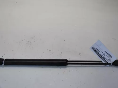 Set Gasdempers Achterklep-7880603