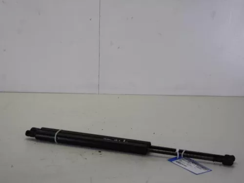 Set Gasdempers Achterklep-7886255