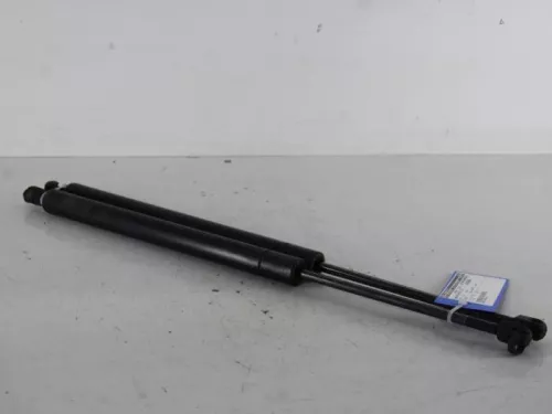 Set Gasdempers Achterklep-7887728