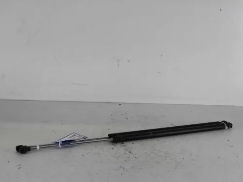 Set Gasdempers Achterklep-7887393