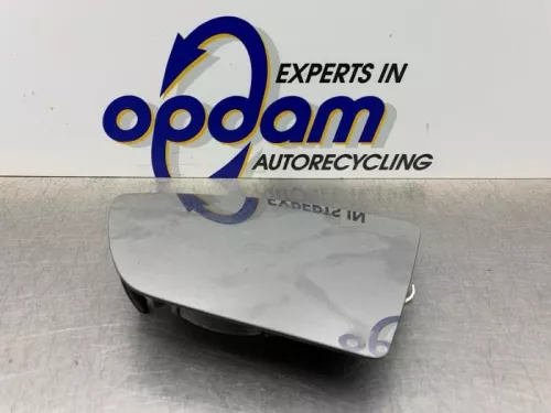 Spiegelglas links-8255120