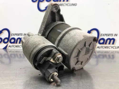 Startmotor-8139102 (21256300)