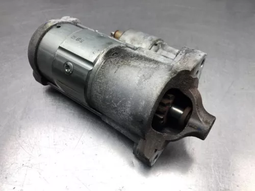 Startmotor-8100955 (21040244)