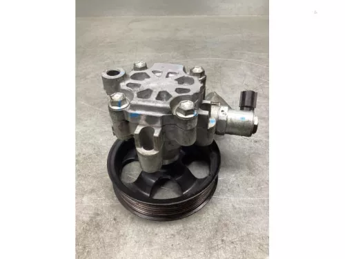 Stuurbekrachtiging Pomp-8101570 (21401958)