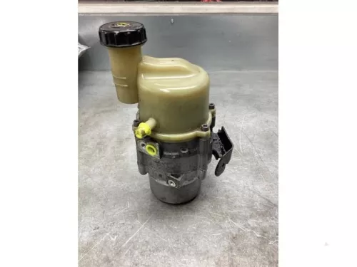 Stuurbekrachtiging Pomp-8137695 (21473144)