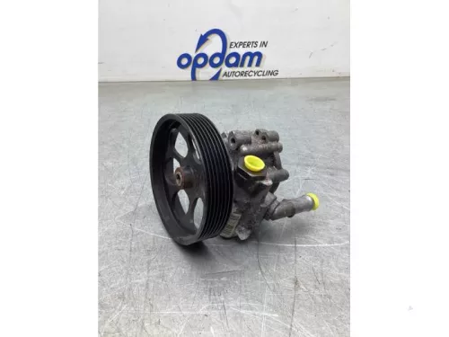 Stuurbekrachtiging Pomp-5577291