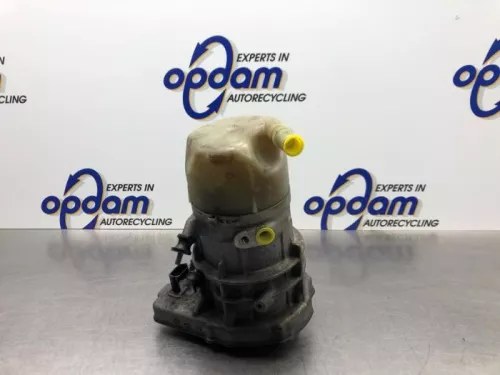 Stuurbekrachtiging Pomp-8100955 (21040207)