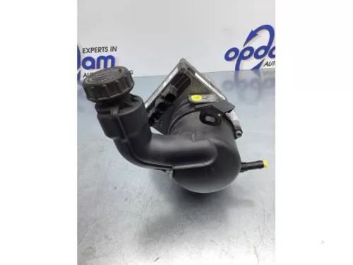 Stuurbekrachtiging Pomp-6921054 (16941421)
