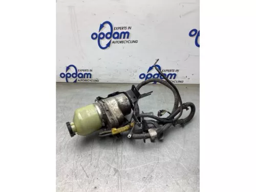 Stuurbekrachtiging Pomp-8247799 (22517453)