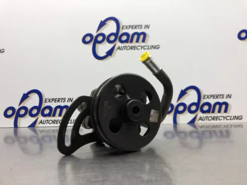 Stuurbekrachtiging Pomp-8181460