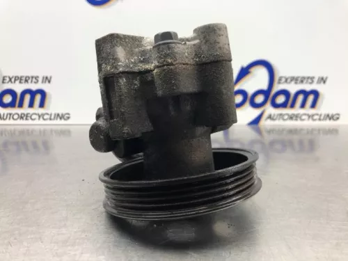 Stuurbekrachtiging Pomp-8179204 (21202618)