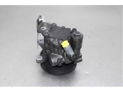 Stuurbekrachtiging Pomp-7879177 (12902343)