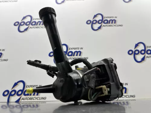 Stuurbekrachtiging Pomp-8300416 (22310685)