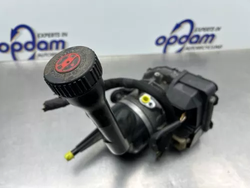 Stuurbekrachtiging Pomp-8300416 (22310685)