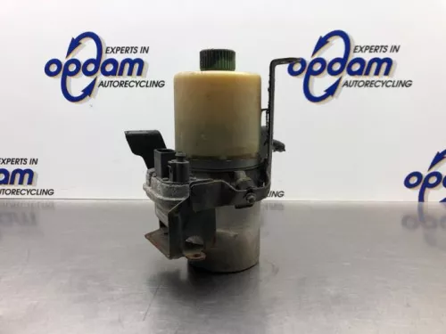 Stuurbekrachtiging Pomp-8075628 (21743118)