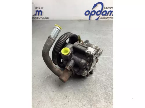 Stuurbekrachtiging Pomp-8060936