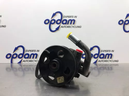 Stuurbekrachtiging Pomp-8206281