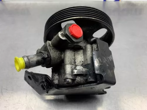 Stuurbekrachtiging Pomp-8250757 (21848660)