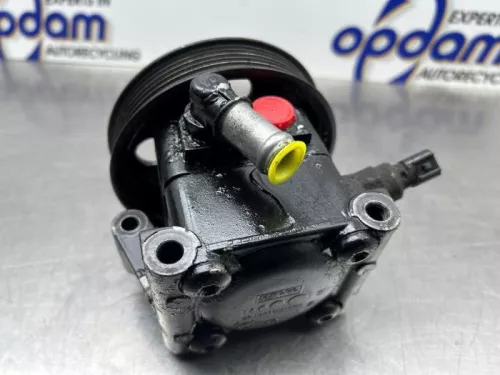 Stuurbekrachtiging Pomp-8259667 (22256167)