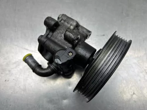 Stuurbekrachtiging Pomp-8252843 (21641226)