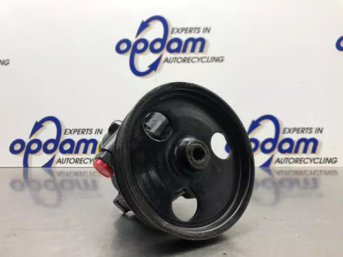 Stuurbekrachtiging Pomp-8254563 (21814218)