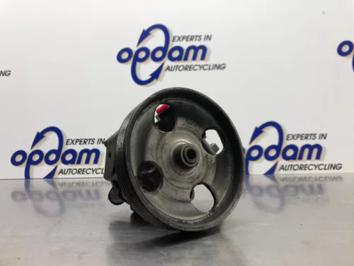 Stuurbekrachtiging Pomp-8203352 (21443893)