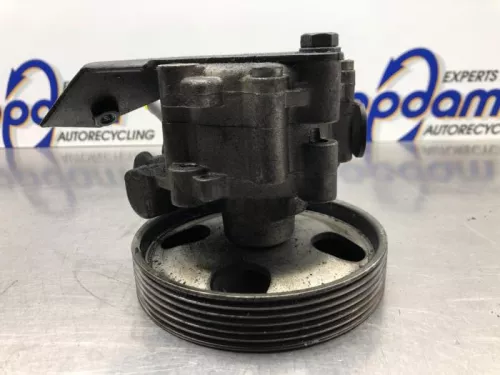 Stuurbekrachtiging Pomp-8203352 (21443893)