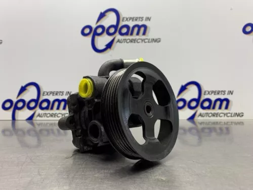 Stuurbekrachtiging Pomp-8094088 (21886275)