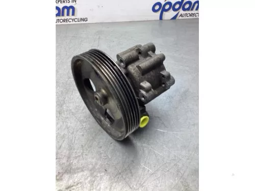 Stuurbekrachtiging Pomp-6233329 (18573660)