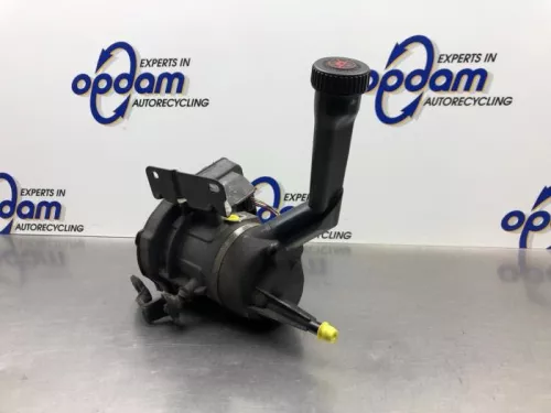 Stuurbekrachtiging Pomp-8146887 (21748158)