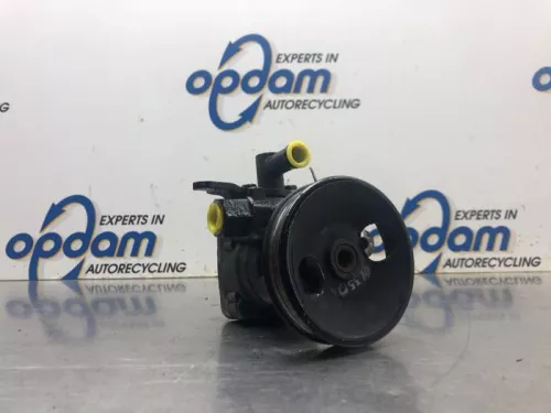 Stuurbekrachtiging Pomp-8134673