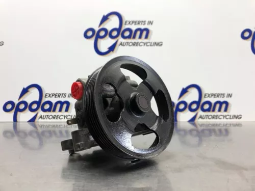 Stuurbekrachtiging Pomp-8203499 (20926841)