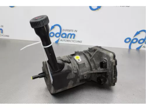 Stuurbekrachtiging Pomp-7879025 (14832055)