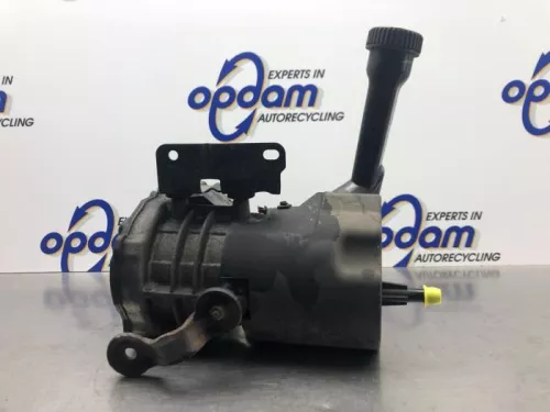 Stuurbekrachtiging Pomp-8108186