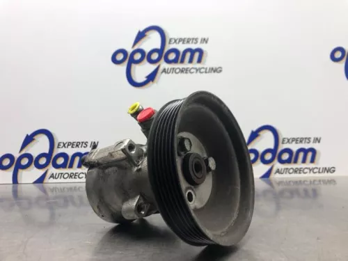 Stuurbekrachtiging Pomp-8175869