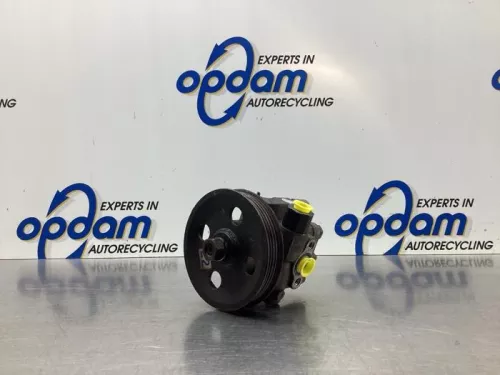Stuurbekrachtiging Pomp-8031624