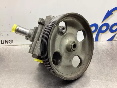 Stuurbekrachtiging Pomp-7986501 (18150922)