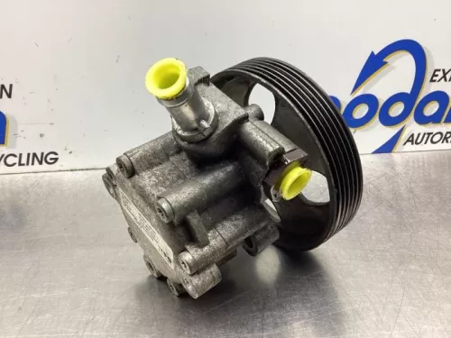 Stuurbekrachtiging Pomp-7986501 (18150922)
