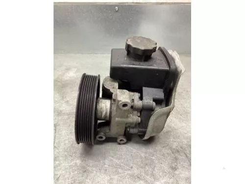 Stuurbekrachtiging Pomp-8119433