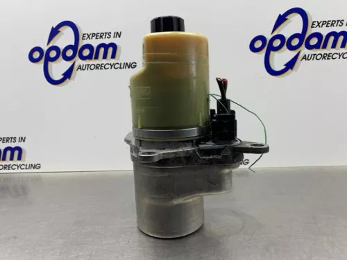 Stuurbekrachtiging Pomp-8240514