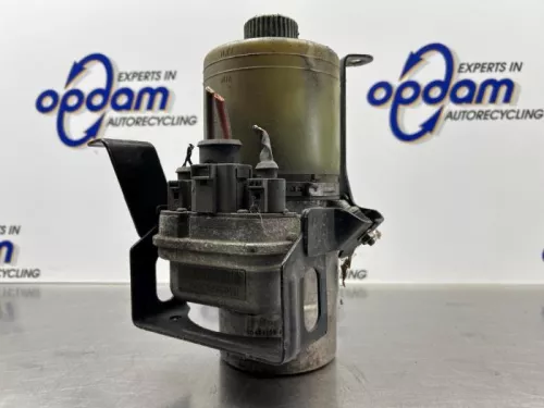 Stuurbekrachtiging Pomp-8292555 (22156230)