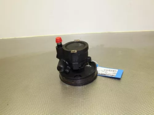 Stuurbekrachtiging Pomp-7887474 (6206886)